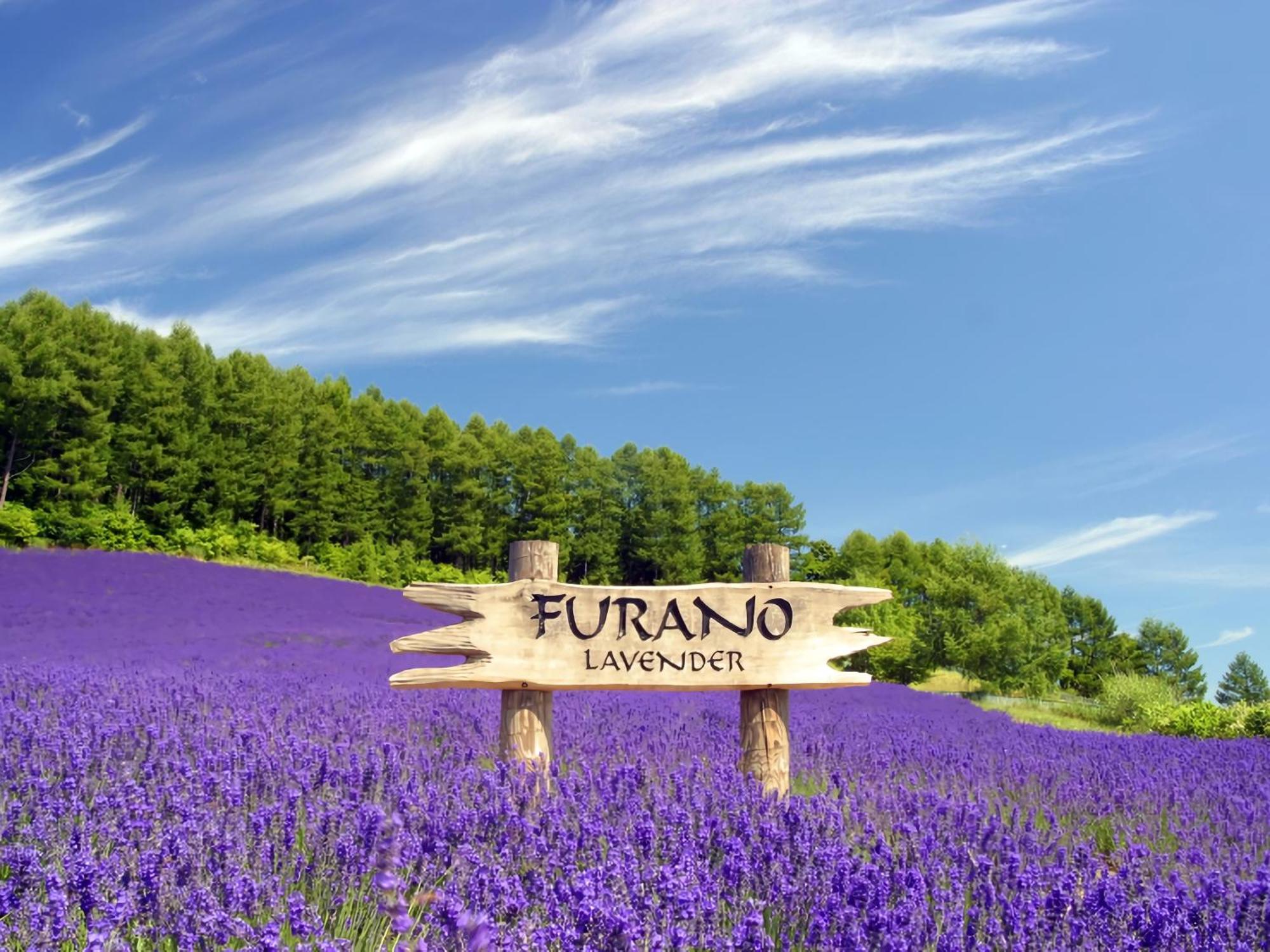 Hotel Naturwald Furano Ngoại thất bức ảnh
